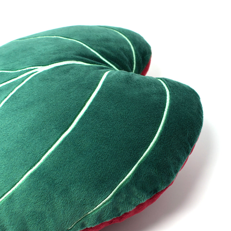 Philodendron Micans Plush Pillow